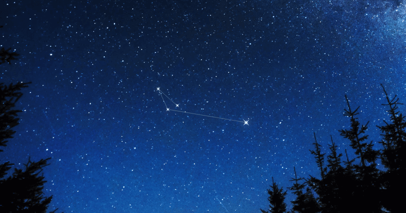 Apus Constellation