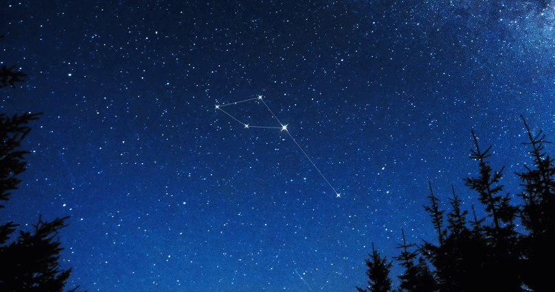 Delphinus Constellation